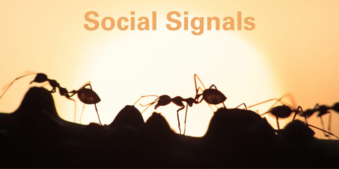 Social Signals Social Signals